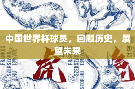 中国世界杯球员，回顾历史，展望未来漯河市盈旭机械设备有限公司