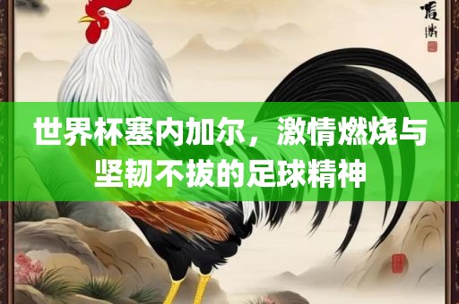 世界杯塞内加尔，激情燃烧与坚韧不拔的足球精神