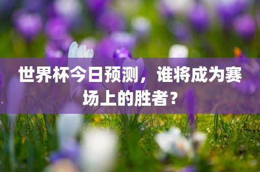世界杯今日预测，谁将成为赛场上的胜者？