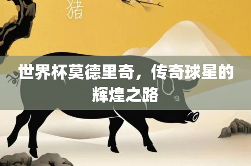 linshuhui 第5页