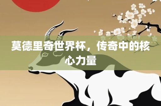 莫德里奇世界杯，传奇中的核心力量漯河市盈旭机械设备有限公司