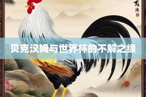 贝克汉姆与世界杯的不解之缘