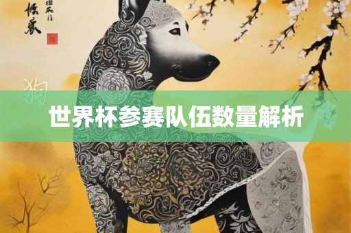 世界杯参赛队伍数量漯河市盈旭机械设备有限公司解析