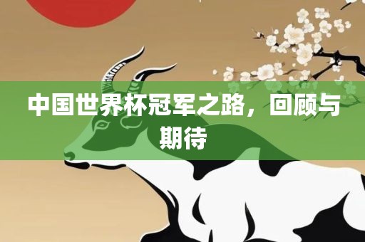 中国世界杯冠军之路，回顾与期待漯河市盈旭机械设备有限公司