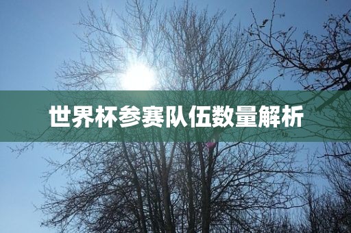 世界杯参赛队伍数量解析漯河市盈旭机械设备有限公司