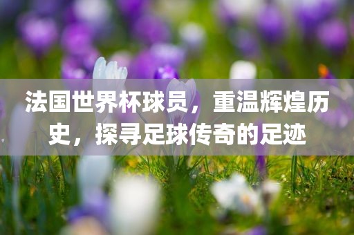 法国世界杯球员，重温辉煌历史，探寻足球传奇的足迹