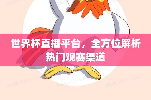 世界杯直播平台，全方位解析热门观赛渠道漯河市盈旭机械设备有限公司