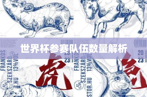 世界杯参赛队伍数量解析漯河市盈旭机械设备有限公司