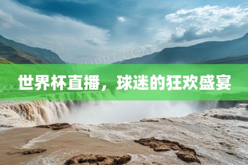 世界杯直播，球迷的狂欢盛宴漯河市盈旭机械设备有限公司