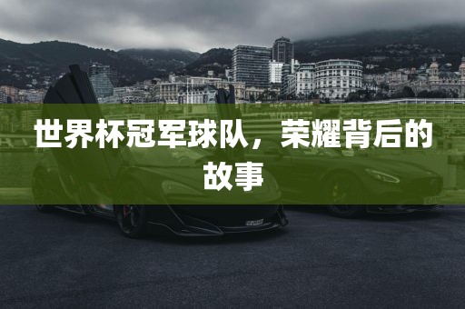 世界杯冠军球队，荣耀背后的故事