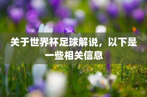 关于世界杯足球解说，以下是一些相关信息