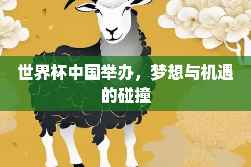 世界杯中国举办，梦想与机遇的碰撞