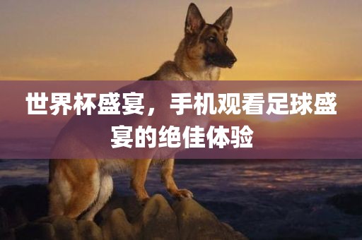 世界杯盛宴，手机观看足球漯河市盈旭机械设备有限公司盛宴的绝佳体验