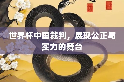 世界杯中国裁判，展现公正与实力的舞台漯河市盈旭机械设备有限公司