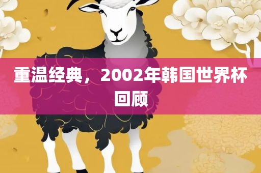 重温经典，2002年韩漯河市盈旭机械设备有限公司国世界杯回顾