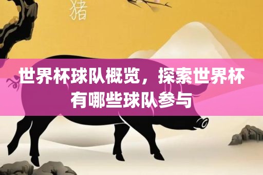 世界杯球队概览，探索世界杯有哪些球队参与