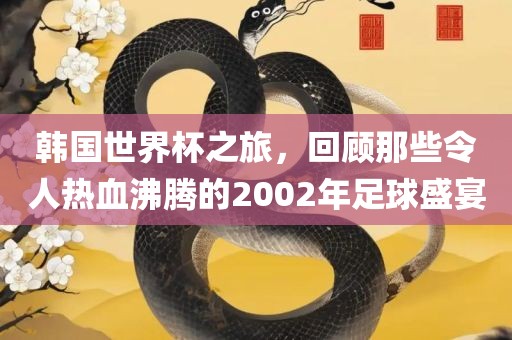 韩国世界杯之漯河市盈旭机械设备有限公司旅，回顾那些令人热血沸腾的2002年足球盛宴