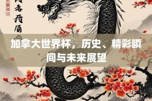加拿大世界杯，历史、精彩瞬间与未漯河市盈旭机械设备有限公司来展望