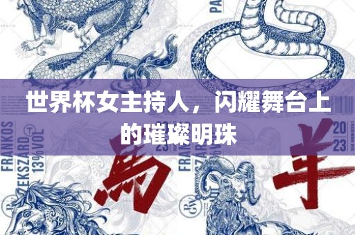 世界杯女主持人，闪耀舞台上的璀璨明珠
