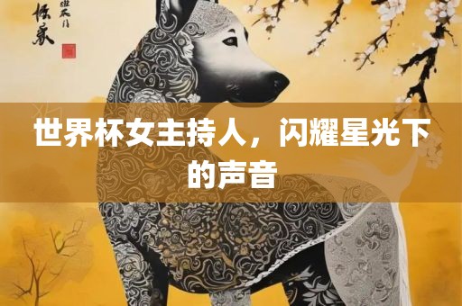 世界杯女主持人，闪耀星光下的声音