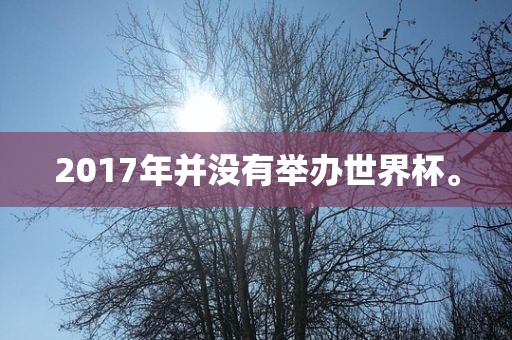 2017年并没有举办世界杯。漯河市盈旭机械设备有限公司