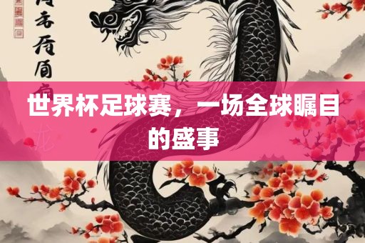 世界杯足球赛，一场全球瞩目的盛事漯河市盈旭机械设备有限公司