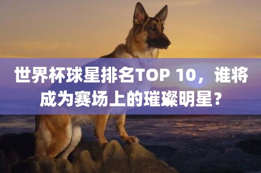 世界杯球星排名TOP 10，谁将成为赛场上的璀璨明星？