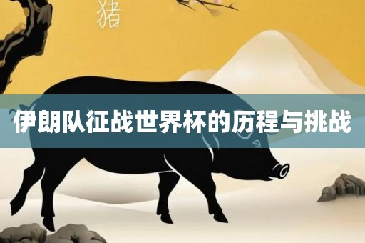 伊朗队征战世界杯的历程与挑战漯河市盈旭机械设备有限公司