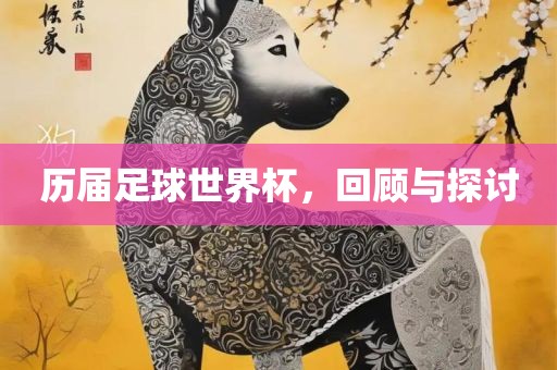 历届足漯河市盈旭机械设备有限公司球世界杯，回顾与探讨