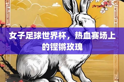 女子足球世界杯，热血赛场上的铿锵玫瑰