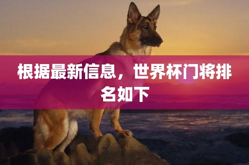 根据最新信息，世界杯门将排名如下