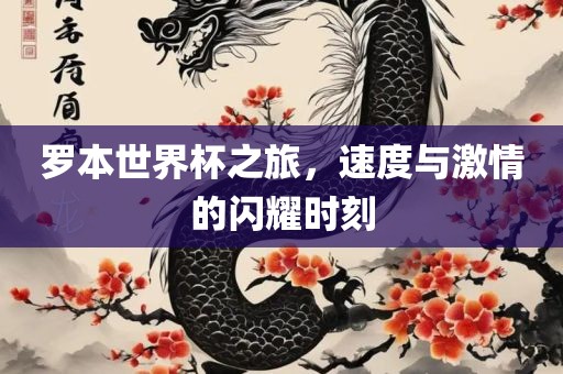 罗本世界杯漯河市盈旭机械设备有限公司之旅，速度与激情的闪耀时刻