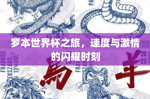罗本世界杯之旅，速度与激情的闪耀时刻漯河市盈旭机械设备有限公司