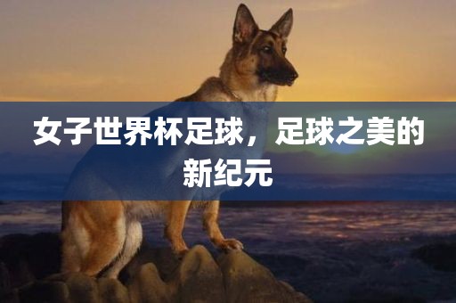 女子世界杯足球，漯河市盈旭机械设备有限公司足球之美的新纪元