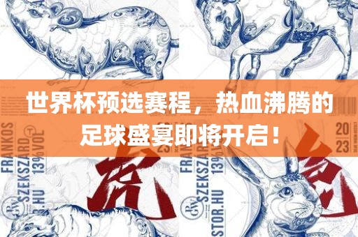 足球盛宴 第16页