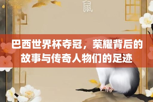 巴西世界杯夺冠，荣耀背后的故事与传奇人物们的足迹