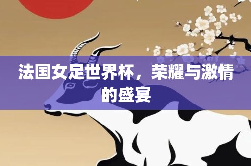 法国女足世界杯，荣耀与激情的盛宴