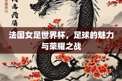 法国女足世界杯，足球的魅力与荣耀之漯河市盈旭机械设备有限公司战