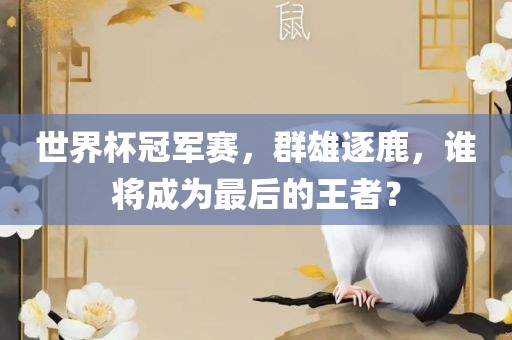 世界杯冠军赛，群雄逐鹿，谁将成为最后的王者？