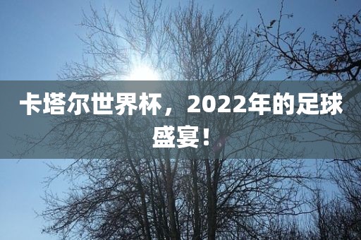 卡塔尔世界杯，2022年的足球盛宴！漯河市盈旭机械设备有限公司
