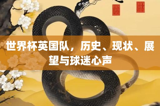 世界杯英国队，历史、现状、展望与球迷心声漯河市盈旭机械设备有限公司