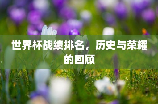 世界杯战绩排名，历史与荣耀的回顾