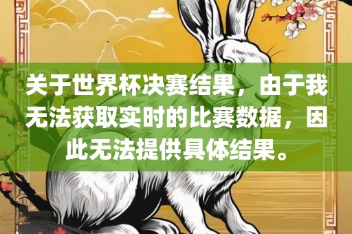 关于世界杯决赛结果，由于我无法获取实时的比赛数据，因此无法提供具体结果。漯河市盈旭机械设备有限公司