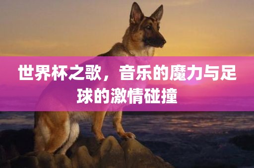 世界杯之歌，音乐的魔力与足球的激情碰撞漯河市盈旭机械设备有限公司