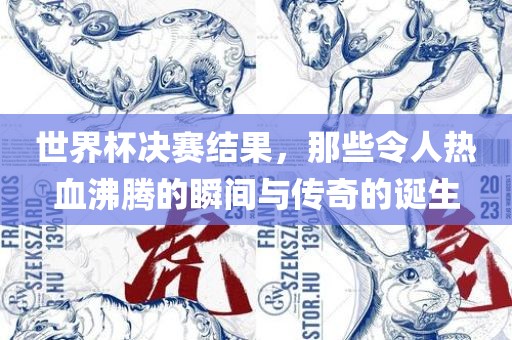 世界杯决赛结果，那些令人热血沸腾的瞬间与传奇的诞生