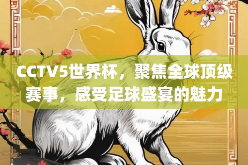 CCTV5世界杯，聚焦全球顶级赛事，感受足球盛宴的魅力漯河市盈旭机械设备有限公司