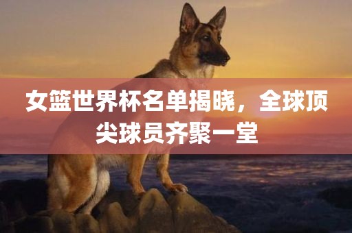 女篮世界杯名单揭晓，全球顶尖球员齐聚一堂漯河市盈旭机械设备有限公司