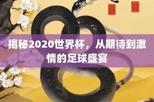 揭秘2020世界杯，从期待到激情的足球盛宴漯河市盈旭机械设备有限公司