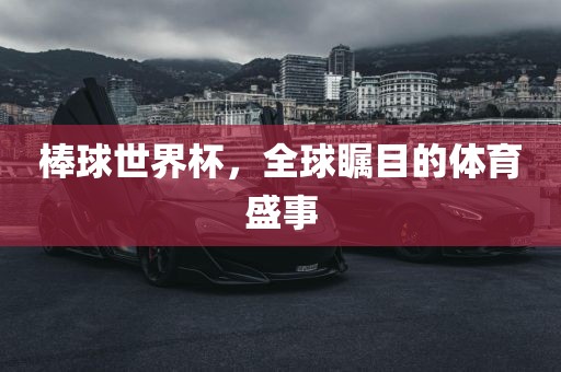 棒球世界杯，全球瞩目的体育盛事漯河市盈旭机械设备有限公司