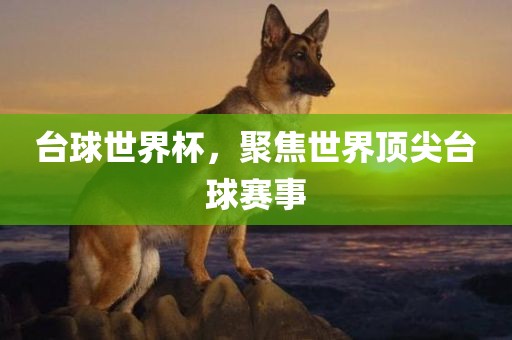 台球世界杯，聚焦世界顶尖台球赛事漯河市盈旭机械设备有限公司